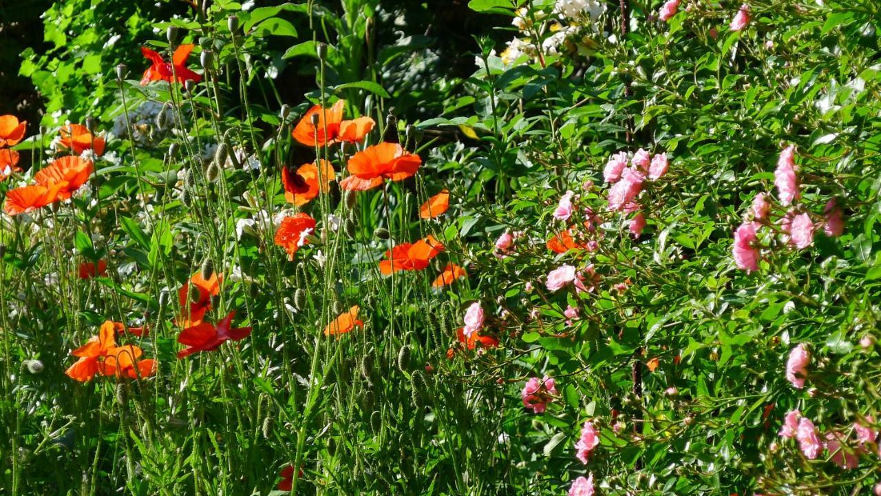 Le Petit Potager Bed & Breakfast Montbel  ภายนอก รูปภาพ